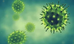 Uzmanlardan “Cicada” uyarısı: Yeni varyant çocukları etkiliyor