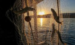 Balıkçılar Dikkat! Av Yasağı Tarihi Netleşti