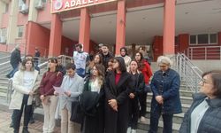 Tıp Etik Ve Kardeşlik Sendikası: "Bu Bir Linç Süreci"