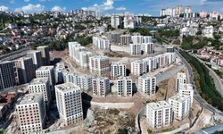 Cedit’te Dönüşümün İkinci Etabı Başlıyor