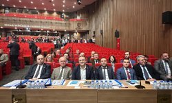 CHP'nin çiçeği burnunda başkanvekili mecliste