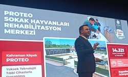 Özlü’den İzmit Belediyesi’ne Sokak Hayvanları Üzerinden Gönderme