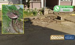 Kartepe'de Açık Rögar Tehlike Saçıyor!