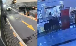 10 Yaşında 92 Suç Kaydı Var