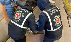 İstanbul Havalimanı ve sınır kapılarında peş peşe operasyon