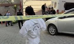 Kayınvalide Damadını Bıçaklayarak Öldürdü!