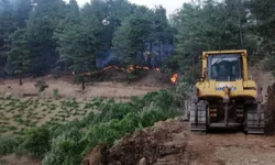 'Şakalaşırken'  92 Hektar Orman Yakan Vandal Cezaevine Gönderildi