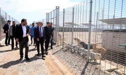 Kocaeli Büyükşehir'den Umuttepe'ye 650 Hayvan Kapasiteli Barınak