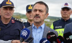 "TEM Otoyolu'nda yüzde 40, Kuzey Marmara ise yüzde 70'lere varan trafik yoğunluğu var"