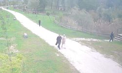 Genç Kadının Ölmeden Önceki Son Anları Kamerada