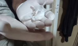 Sakarya’da Bonzai Operasyonu