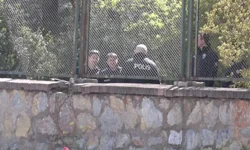 Ormanlık Alanda Ceset Bulundu