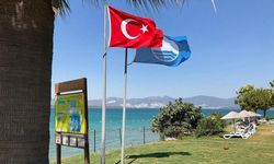 Kocaeli Sahilleri Mavi Bayrak Listesine Girdi