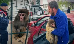 Bozkırın Ortasında Şaşkına Çeviren Karşılaşma