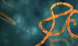 Ebola Salgını Yayılıyor! Sınır Kapıları Kapatıldı