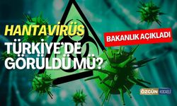 Hantavirüs Türkiye'de Görüldü Mü? Bakanlık Açıkladı