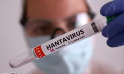 İspanya’da Hantavirüs Görüldü!