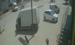 Kediye Bastı, Köpeği Tekmeledi: O Anlar Kamerada