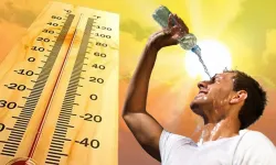 Sıcaklıklar Artıyor! Kocaeli'de Hava 30 Derece Olacak