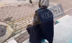 Kediyi sevmek ister gibi çağırdı, kimyasal sıktı