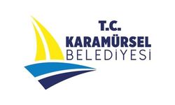 Karamürsel Belediyesi'nden hayvana şiddet olayına karşı açıklama