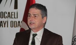 Ekonomist Yurdakul'dan Kocaeli'ye verilerle övgü: "En ciddi illerden biri"