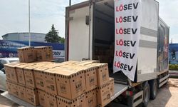 LÖSEV’den tedavi gören ailelere yıl boyu protein desteği