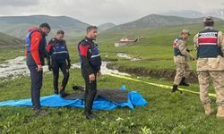 Kadın Cesedi Bulundu!