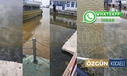 İzmit'te Denizin Rengi Değişti! Vatandaş Kirlilikten Şikayetçi