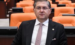 YILDIZLI MECLİSTE İSYAN ETTİ: KOCAELİ'DE ELEKTRİK YOK !