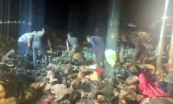 Çöplükte Bir Aylık Bebek Cesedi Bulundu