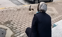 Kediye Yağ Sökücü Sıkmıştı! Mahkeme Kararını Verdi