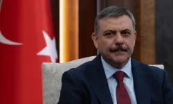 Bakan Çiftçi: Yıl sonuna kadar sokak köpeklerinin tamamını barınaklara toplatacağım