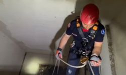 Apartman Boşluğunda Yavru Martı Operasyonu