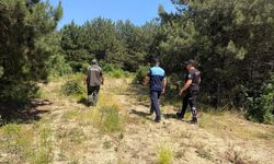 Kocaeli'de Orman Yangınlarına Karşı Saha Denetimi
