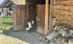 Samanlıkta Baltayla Ödürüp Çuvalla Dereye Attı