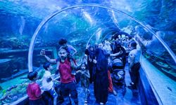 İzmit Millet Bahçesi’ndeki Dev Akvaryum İlk Gün 15 Bin 150 Kişiyi Ağırladı