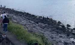 Kayıp Polis Memuru Sahilde Ölü Bulundu
