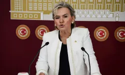 Rozetini Özel'den Almıştı! CHP'li Vekil İstifa Etti