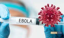 Ebola Virüsü Avrupa'ya Da Sıçradı!
