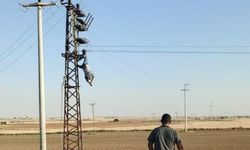 Elektrik Akımına Kapıldı, Direkte Asılı Kaldı!