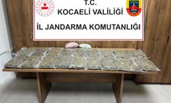 Kocaeli TEM Otoyolu’nda 10 Kilogram Skunk Ele Geçirildi