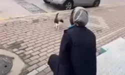 Kediye Sprey Sıkan Market Çalışanına Beraat