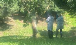 Kocaeli'de Bir Kişi Ağaca Asılı Halde Bulundu!