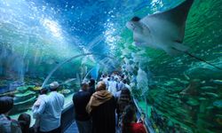 Körfez Aqua İlk Gününde Şehrin Gündemine Oturdu