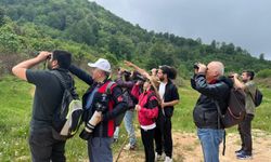 Kuzuyayla’da Biyoçeşitlilik Keşfi: 109 Tür Kayıt Altına Alındı