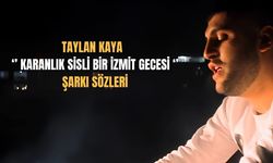 Taylan Kaya – Karanlık Sisli Bir İzmit Gecesi Şarkı Sözleri