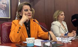 Hürriyet'e AK Parti'li Meclis Üyesinden Destek