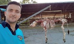 Köpek Katili Cani Kasabın Mahkemesinde Flaş Karar