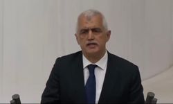 Gergerlioğlu'ndan TBMM'de AK Partili vekillere: "İnsan ölümünden bahsediyorum, gülüyorsunuz"